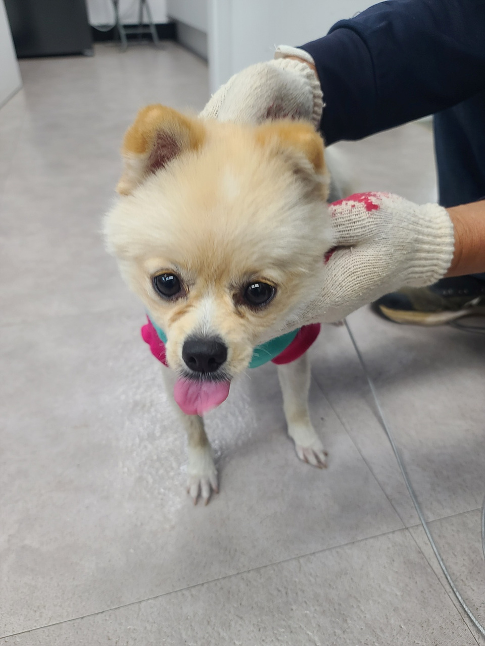 시흥동물누리보호센터_441401202301643